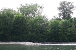 Buhne bei Niedrigwasser gegenüber der Hafenaus / -einfahrt - bei "normalem" Wasserstand unter Wasser